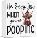 Christmas Bathroom Decor, Funny Highland Cow Christmas Decorations, Bathroom Table Decoration, Coquette Red Bow Santa Hat Wooden Box Sign, Home Shelf Desk Decor for Toilet 5x5 Inches by Unknown
