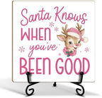 Christmas Wooden Signs Decor Funny Wood Plaque with Support Stand by ZEDEV