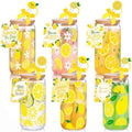 Vesici 6 Set Lemon Glasses with Lid Straw and Stopper, Lemon Gifts by Vesici