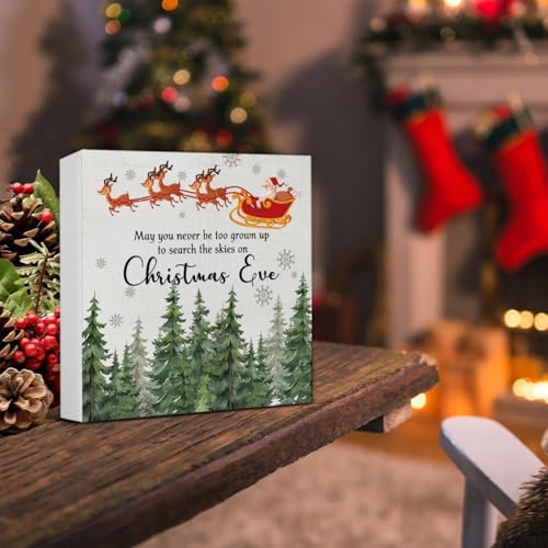 Christmas Sign Decor, May You Never Be Too Grown up to Search The - Image 5