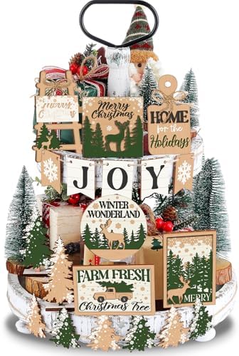 Funnymoom 17 Pcs Christmas Tiered Tray Decor Set Winter Tray Decorations by Funnymoom