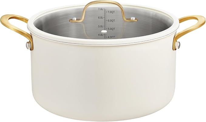 BEZIA 8 Quart Stainless Steel Stock Pot, Casserole by BEZIA
