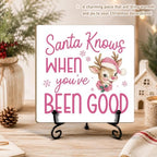 Christmas Wooden Signs Decor Funny Wood Plaque with Support Stand - Image 4