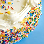 Rainbow Sprinkles Jimmies 1.98 Pounds Container, Sprinkles For Cake Decorating, Cake Sprinkles, Sprinkles For Baking, Ice Cream Toppings & More, The Hampton Candy Company - Image 6