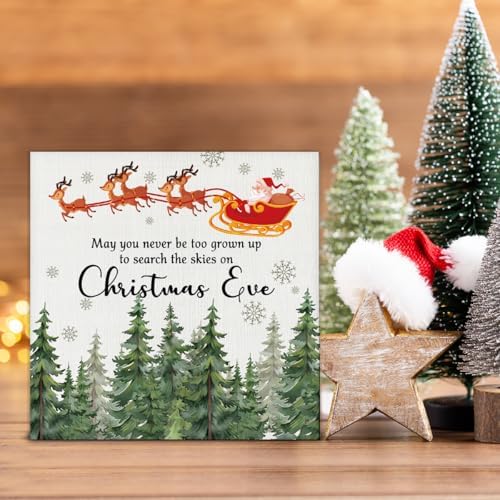 Christmas Sign Decor, May You Never Be Too Grown up to Search The - Image 4