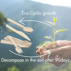 Compostable Wooden Utensils Set - Image 5