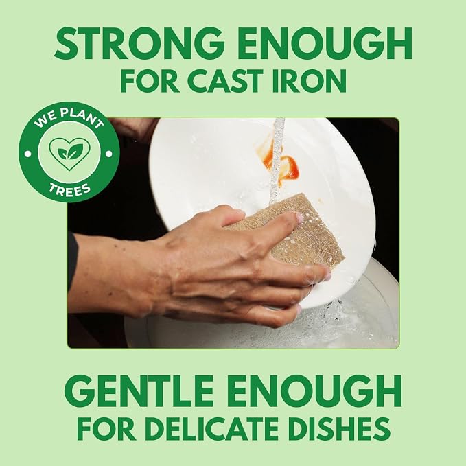 10 Pack Biodegradable Natural Kitchen Sponge - Image 3