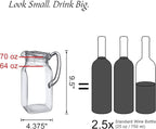 Amazing Abby - Quadly - Plastic Pitcher, Fridge Jug, Shatter-Proof, and More - Image 4