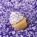 Manvscakes Sprinkles- Edible Cake and Cupcake Sprinkles with Assorted Shapes and Sizes for Parties, Metallic Sprinkle Mix for Cookies, Ice Cream, Cake and Cupcake Decorating by Manvscakes