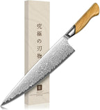 TIVOLI Japanese Gyuto Knife 10 Inch– VG-10 Damascus Chef Knife by TIVOLI