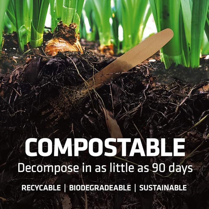 Disposable Wooden Cutlery Set - Image 4