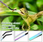 2PCS Stainless Steel Reptile Feeding Tongs - Image 6