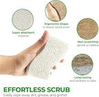AIRNEX Natural Kitchen Sponges - Image 6