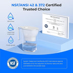 Waterdrop PT-05W-L Water Filter Pitcher, NSF Certified, 200-Gallon Long-Life - Image 5