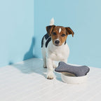 E-Cloth Pet Bowl Scrubber - Image 3