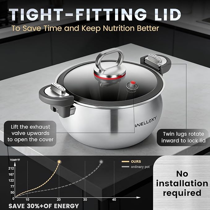 WELLOXY Stainless Steel Pot - Image 4