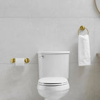 RUMOSE Toilet Paper Holder and Hand Towel Ring Brushed Gold Wall Mount Bathroom - Image 9