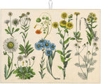 Plants Herbs Floral Dish Drying Mat XL Microfiber Kitchen Drying Mat Large Dish by Eugzak