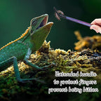 2PCS Stainless Steel Reptile Feeding Tongs - Image 5