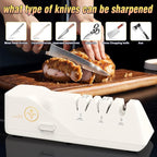 Professional Electric Knife Sharpeners - Image 6