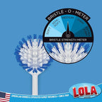 Dish Brush Scrubber for Kitchen, 2 Pack, by LOLA, Has Stiff Bristles & Food - Image 4