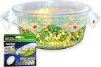 Microwave Spatter Screen, Non-Stick Mesh, Folds Flat, 13 Inch Splatter Guard by Smartwares