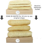 Natural Whole Loofah Sponge - Image 2