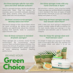 AIRNEX Natural Kitchen Sponges - Image 8
