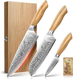 Emojoy Damascus Kitchen Knife Set, 67-Layers Damascus Knife by EMOJOY