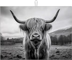 Highland Cow Dish Drying Mat for Kitchen Counter Drying Pad Absorbent by MOUNTANLLY
