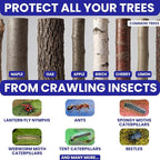 Spotted Lantern Fly Trap for Trees. 3 Sticky Fly Paper Rolls - Image 5