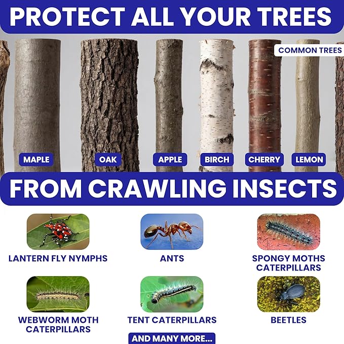 Spotted Lantern Fly Trap for Trees. 3 Sticky Fly Paper Rolls - Image 5