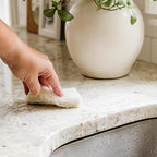 Full Circle Coconut Scrubber Sponges, Plant-Based Sponges Made - Image 5