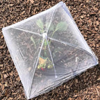 Simply Genius Pop-Up Outdoor Food Covers to Keep Bugs Away - Image 7