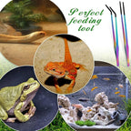 Lasnten 2 Pcs Extra Long Stainless Steel Reptile Feeding Tongs - Image 6