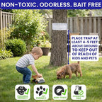 Spotted Lantern Fly Trap for Trees. 3 Sticky Fly Paper Rolls - Image 3