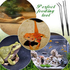 Lasnten 2 Pcs Extra Long Stainless Steel Reptile Feeding Tongs - Image 7