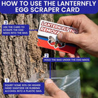 Spotted Lantern Fly Trap for Trees. 3 Sticky Fly Paper Rolls - Image 6
