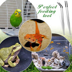 Lasnten 2 Pcs Extra Long Stainless Steel Reptile Feeding Tongs - Image 7