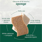 6 Pack Natural Kitchen Sponges, Compostable White Cellulose & Organic Coconut - Image 8
