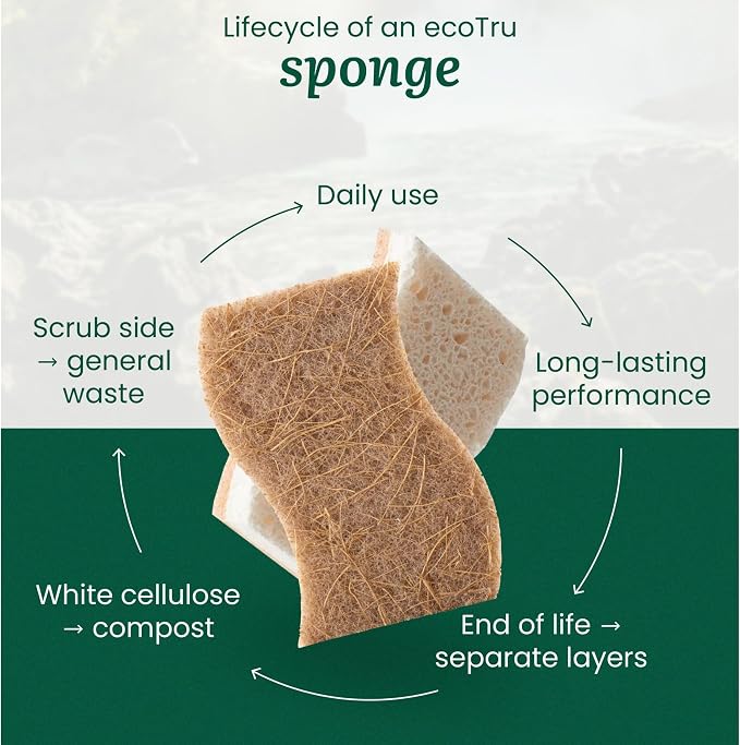 12 Pack Natural Kitchen Sponges, Compostable White Cellulose & Organic Coconut - Image 8