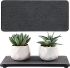 NiuYichee 2 Pcs Water Absorbing Stone Trays, Kitchen/Bathroom Sink Soap Dish by NiuYichee