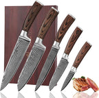 Wakoli EDIB 5-Piece Damascus Knife Set, Professional Kitchen Knives made of by Wakoli