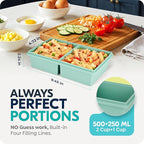 Silicone Freezer Trays with Lids, 2 Cup & 1/2 Cup Combo, Soup Container Style - Image 7