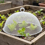 MAGICLULU 2-Pack Metal Mesh Food Covers, 11.8-Inch Net Dome Plate Fly Tents - Image 5