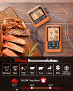 TempPro TP826 500FT Wireless Meat Thermometer, Dual Meat Probe Cooking - Image 3