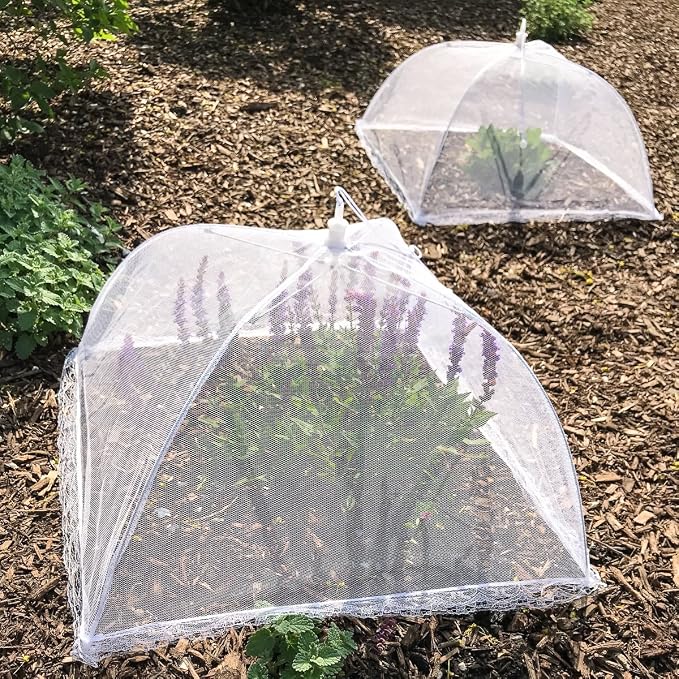 Simply Genius Pop-Up Mesh Food Cover Tent - Image 5